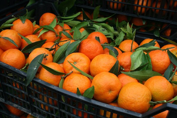 mandarinas clementinas de comenaranjas