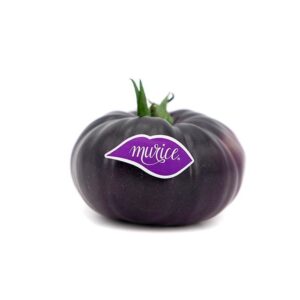 Tomate Azul (kg)