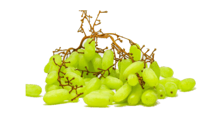 Uva Moscatel (kg)