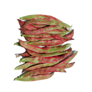 Judía Rochet (200 g)
