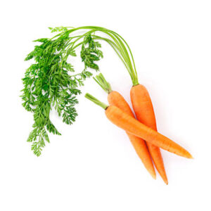 Zanahorias tiernas (manojo)