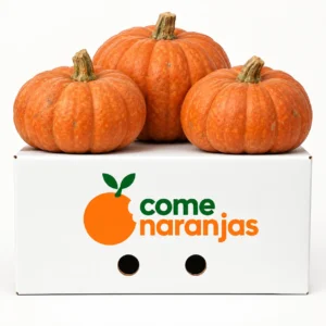 calabaza comenaranjas