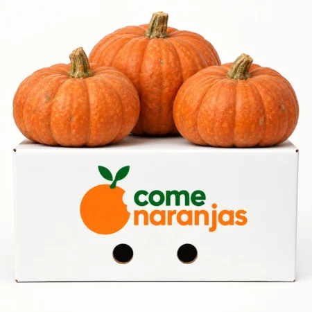 Caja de calabaza Ruperta
